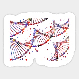 DNA molecule Sticker